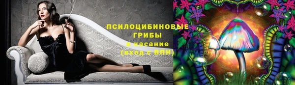 прущие крисы Семикаракорск