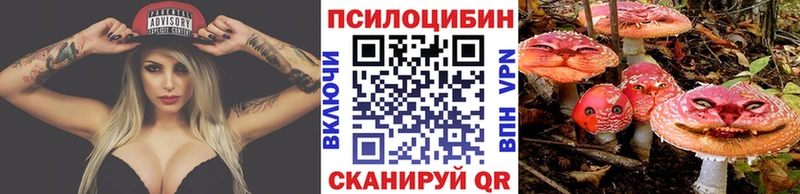 Псилоцибиновые грибы MAGIC MUSHROOMS  продажа наркотиков  Воткинск 